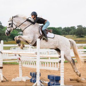light blue tailored sportsman breeches